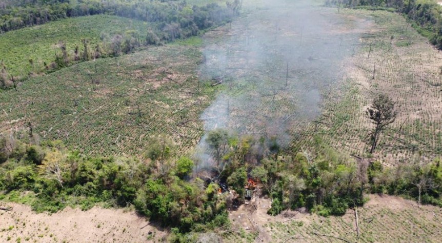 Força Integrada de Combate ao Crime Organizado erradica lavoura milionária de maconha no Cariri