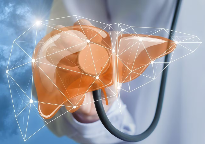 Vitamina B3 pode reverter gordura no fígado, descobrem cientistas