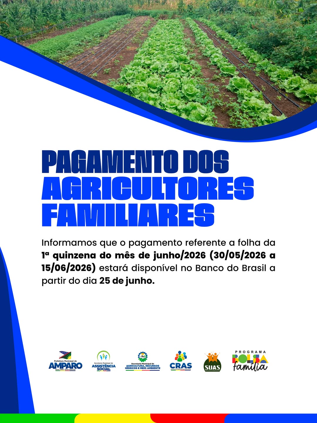 Prefeitura de Amparo anuncia pagamento da primeira quinzena de junho para agricultores familiares