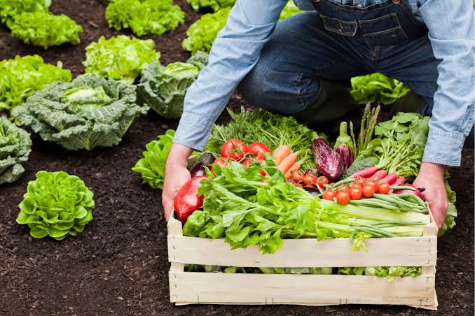 Abertas inscrições para seleção de agricultores (as) familiares para fornecimento de gêneros alimentícios ao Programa de Aquisição de Alimentos (PAA)
